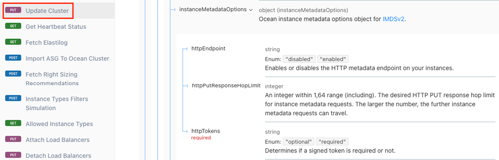 api-instance-metadata-cluster-screenshot